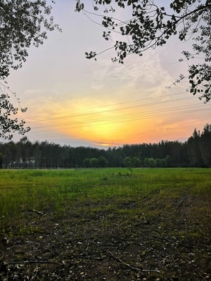 日落-湿地公园-景色-风景-草地 图片素材
