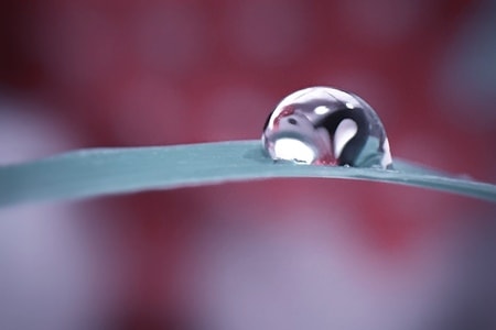 微距-水珠-水珠-雨珠-露珠 图片素材
