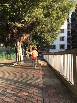 你好秋天-一镜知秋-冬日暖阳-纪实-看你的城市 图片素材