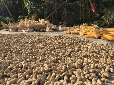 你好秋天-秋日物语-纪实-人间百味-风光 图片素材