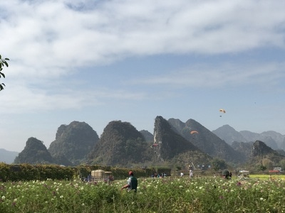 我的2019-你好秋天-一镜知秋-风光-自然 图片素材