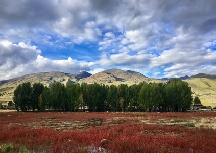 光影-自驾-旅游-异域-手机摄影 图片素材