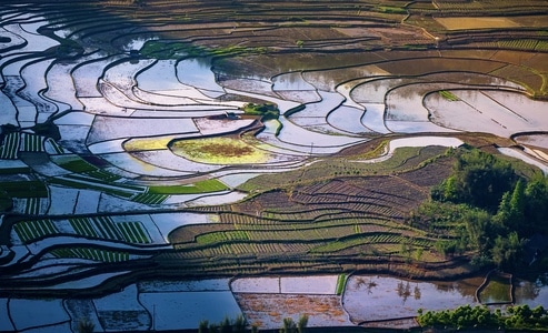 你好2020-自然风光-在路上-长宁竹海-田园风光 图片素材