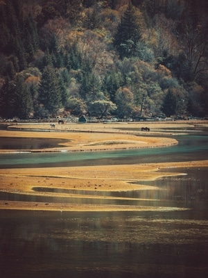 自然风光-河流-阳光-秋天-草原 图片素材