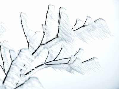 自然风光-我要上封面-树-雪-雾凇 图片素材
