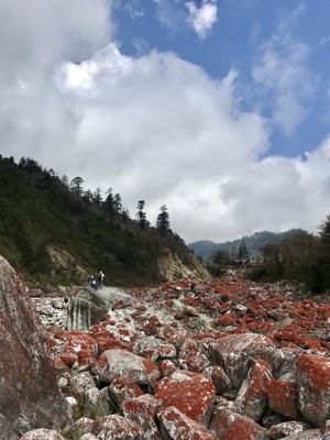 我的2019-川西-薄雾-高山-旅游 图片素材