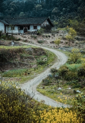 风光-我要上封面-自然风光-蜀南竹海-旅拍 图片素材