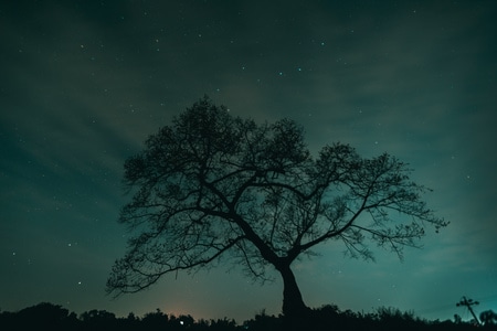 星空-自然风光-旅拍-自驾-在路上 图片素材