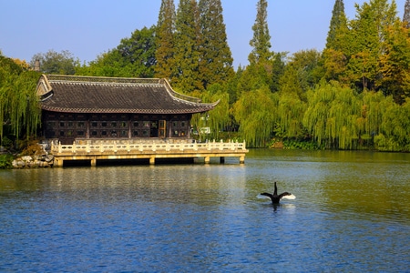 旅游-风光-房屋-风景-湖 图片素材