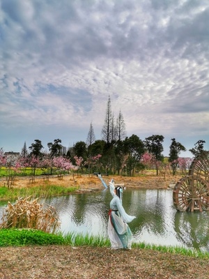 城市色彩-城市天际线-手机拍天下-尘世烟火-风景 图片素材
