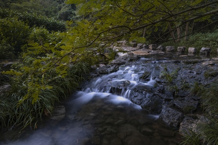 杭州-西湖-风景-自然-九溪烟树 图片素材