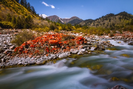 我的2019-小河-湖-风景-风光 图片素材