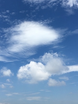厦门市-风光-蓝天白云-云-天空 图片素材