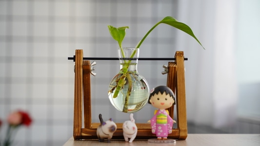 静物-装扮-生活-植物-绿箩 图片素材