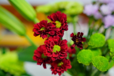 花-生活-装扮-花-花卉 图片素材