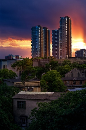 城市-建筑-黄昏-树木-日落 图片素材