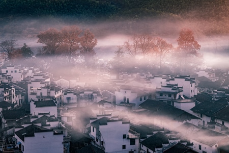 自然-雾-秋天-风景-早晨 图片素材
