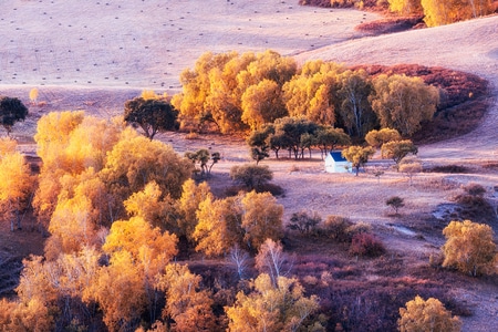 秋天-草原-旅行-色彩-自然 图片素材