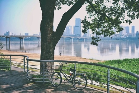 风景-城市-自行车-栏杆-单车 图片素材