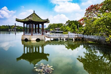 凤凰花开-惠州网红打卡点-风光-风景-湖 图片素材