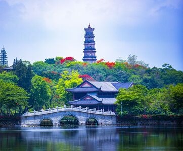 凤凰花开-惠州网红打卡点-风光-风景-湖 图片素材