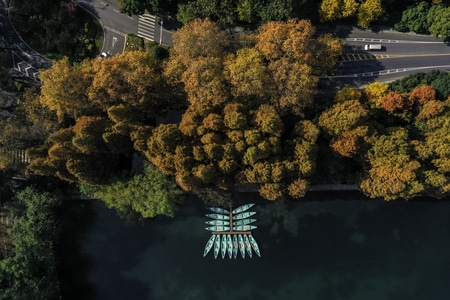 风光-航拍-秋-西湖-船 图片素材