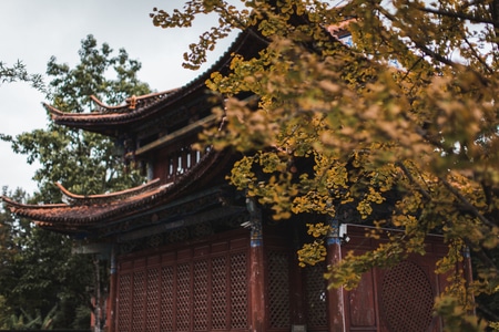 建筑-旅行-寺庙-城市-云南 图片素材