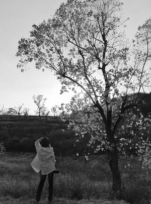 季节-风景-花树-树枝-花朵 图片素材