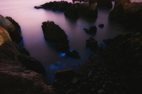 风光-夜幕-海岛-荧光-海滩 图片素材