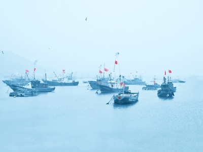 冬季-mppa视界-你好2020-疫情防控中的新年-手机摄影 图片素材