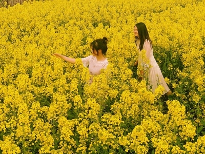手机摄影-snapseed修图-人像摄影-写真-女性 图片素材