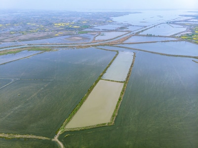 航拍-大疆-风光-春天-田野 图片素材