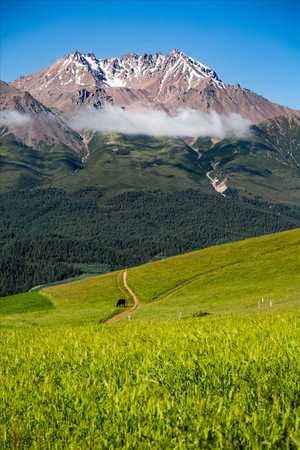 风光-青海-祁连山-卓尔山-雪山 图片素材