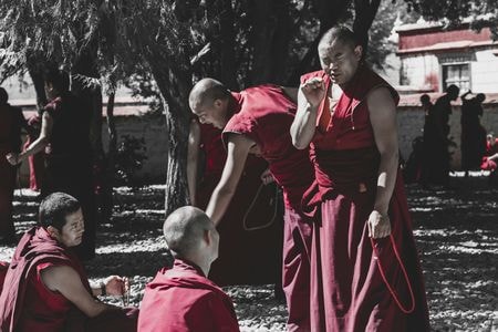 西藏-桑耶寺-佛教-喇嘛-辩经 图片素材