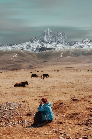 风光摄影-风光-风景-风光-草地 图片素材