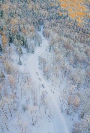 冬雪-北疆-阿勒泰-冬季-雪景 图片素材