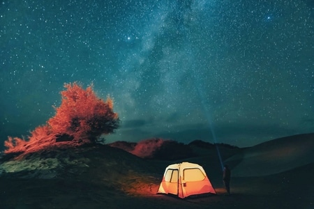 你好2020-南疆-和田-胡杨-星空 图片素材