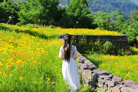 小黄花-醉美宁波-女人-女性-背影 图片素材