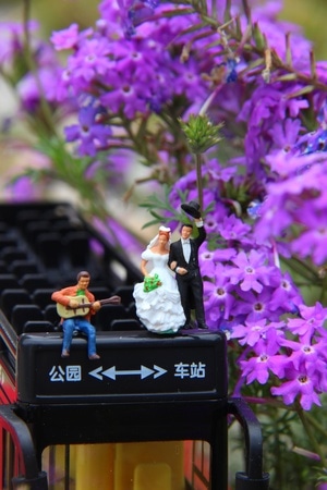 唯美紫色-乐队-花-花朵-花卉 图片素材