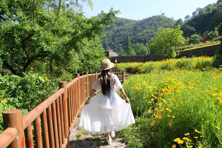 茅镬古村-山水江南-风景-背影-女性 图片素材