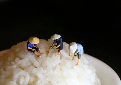 餐桌上的故事-美食连连-米饭-食物-大米 图片素材