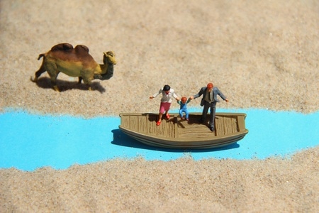 摆渡-游泳-模型-骆驼-一家人 图片素材