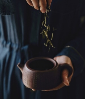 立夏-新茶-西湖龙井-茶-茶叶 图片素材