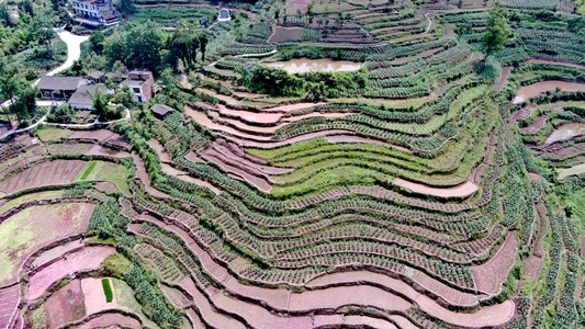 丰都-风光-大地-航拍-梯田 图片素材