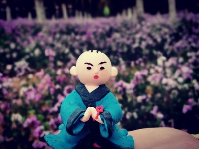 华为-我要上封面-你好2020-花花草草-黄昏 图片素材
