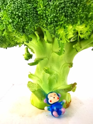 手机微距-我要上封面-生活-创意-花花草草 图片素材