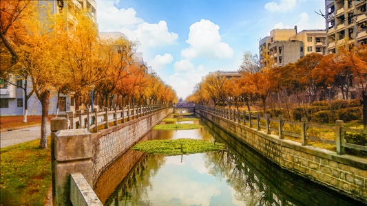 上海市-华东理工大学-秋天-风光-校园 图片素材