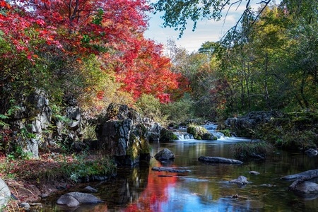 7日打卡挑战-自然-风景-秋色-溪流 图片素材