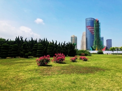 烟台市-开发区-城市-草地-草坪 图片素材