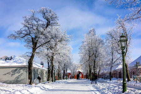 旅行-冬季-雪后-俄罗斯-圣彼得堡 图片素材